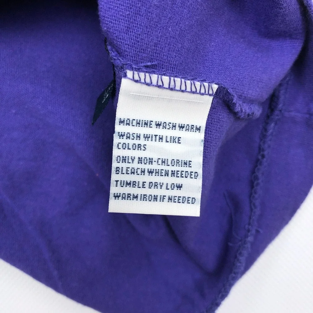 Polo Ralph Lauren T-Shirt Mens Large Purple Green Pony Vintage Cotton Tee L